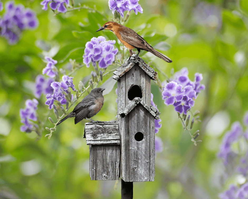 https://a.storyblok.com/f/197182/940x756/10a8526954/welcome-wildlife.png